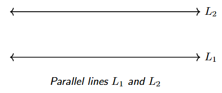 Diagram showing two parallel lines L1 and L2